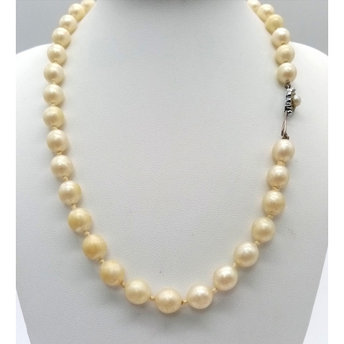 834 - A parcel of vintage jewellery.
Featuring a lovely vintage Pearl Necklace and a Gold toned bracelet.
... 