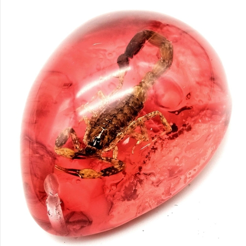 1136 - A Scorpion Ready to Strike - Unfortunately Now Frozen Forever in a Red Hellish Resin Prison. Pendant... 