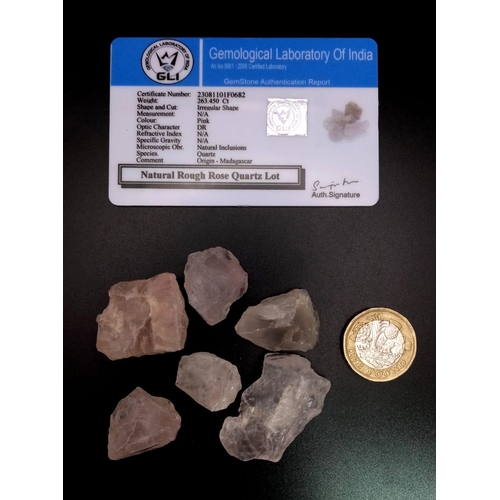 693 - A 263.45ct Rough Rose Quartz Gemstones Lot. GLI Certified.