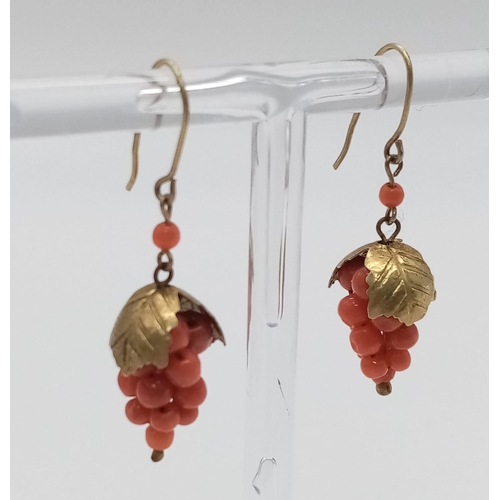 1105 - A Pair of Antique 9K Gold and Red Coral Earrings - In the form of a bunch of grapes on the vine. 3cm... 