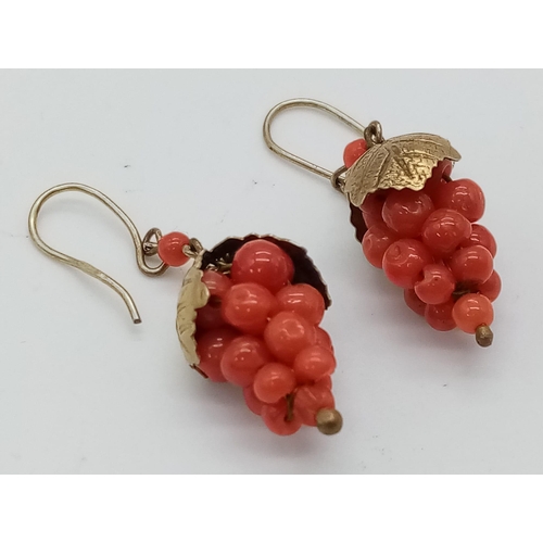 1105 - A Pair of Antique 9K Gold and Red Coral Earrings - In the form of a bunch of grapes on the vine. 3cm... 