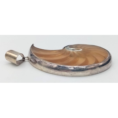 254 - STERLING SILVER SHELL/FOSSIL SHAPED STONE SET PENDANT.
SIZE: 8CM
WEIGHT: 31.8G

SC 8058