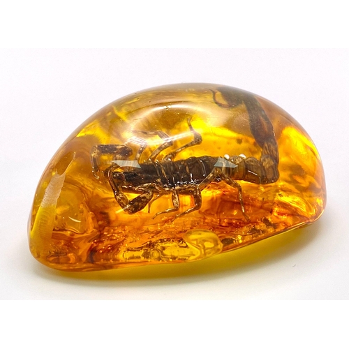 317 - A Humongous Scorpion in Amber Coloured Resin - Pendant or Paperweight. 6cm