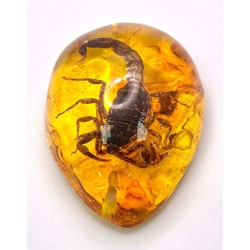 317 - A Humongous Scorpion in Amber Coloured Resin - Pendant or Paperweight. 6cm