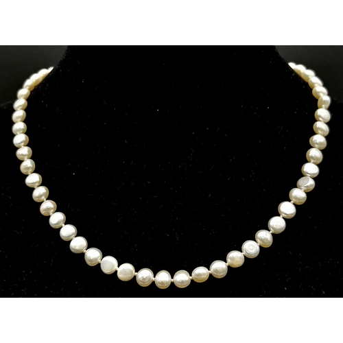 672B - A Small Natural Pearl Choker Necklace with an 18K Gold Clasp. 36cm. Pearls 4/5mm.