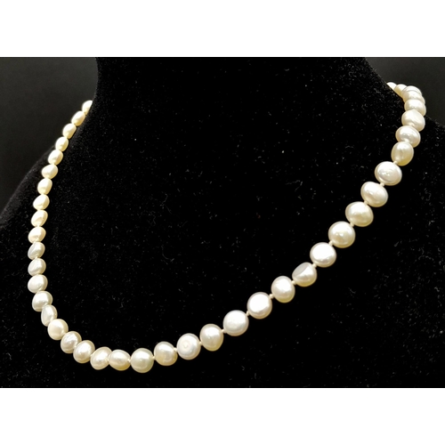 672B - A Small Natural Pearl Choker Necklace with an 18K Gold Clasp. 36cm. Pearls 4/5mm.