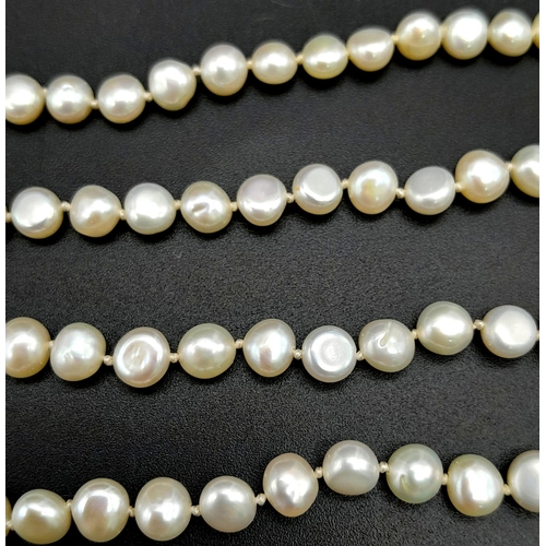 672B - A Small Natural Pearl Choker Necklace with an 18K Gold Clasp. 36cm. Pearls 4/5mm.