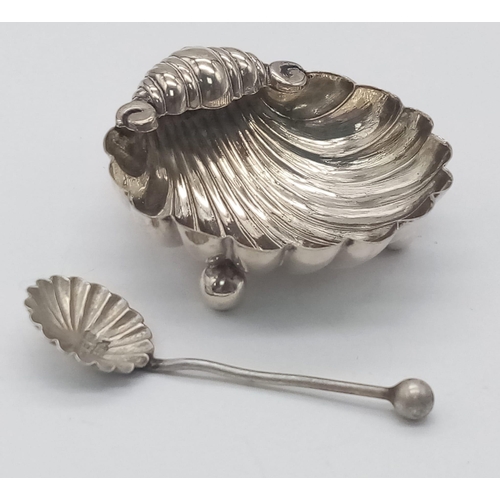 1088 - An Antique Silver Shell Shape Salt with a Corresponding Hallmarked 1887 Silver Spoon. Salt Measures ... 