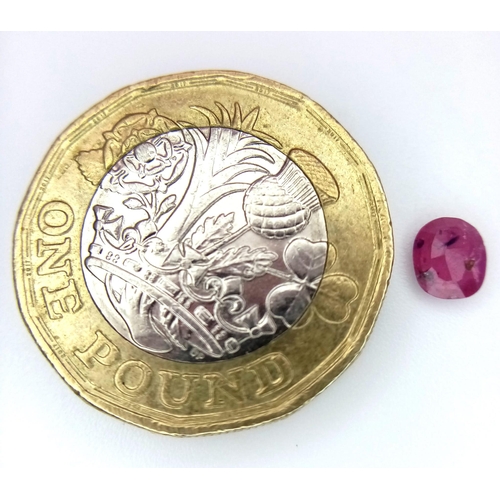 1557 - A 0.47ct Untreated Burma Pigeon Blood Red Ruby, in the Oval Shape. Comes with the GFCO Swiss Certifi... 