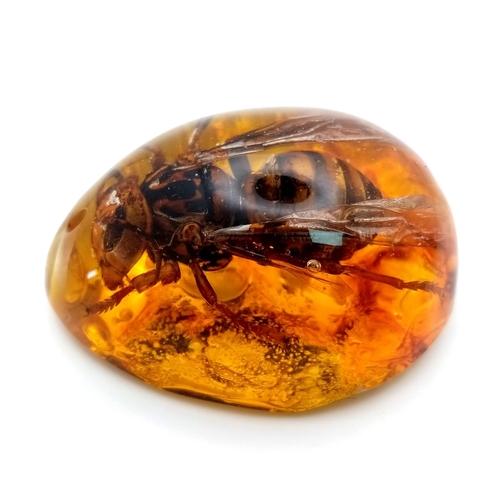 839 - An Asian Hornet That Seems To Have Been Enlarged By Some Form Of Twisted Deep State Gamma Ray. Penda... 