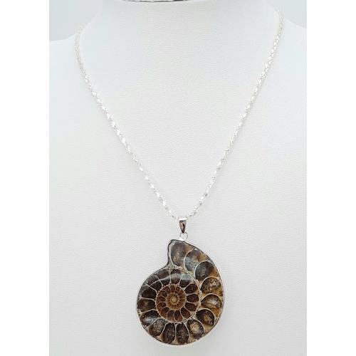 217 - A fantastic jewellery set of fossil Ammonites (400 million years old) consisting of a pendant (on a ... 