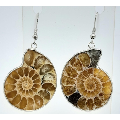 217 - A fantastic jewellery set of fossil Ammonites (400 million years old) consisting of a pendant (on a ... 