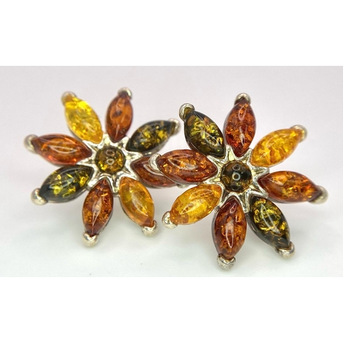 885 - A Pair of Excellent Condition, Vintage, Three Colour Amber Stud Silver Earrings. 2.4cm wide. In pres... 