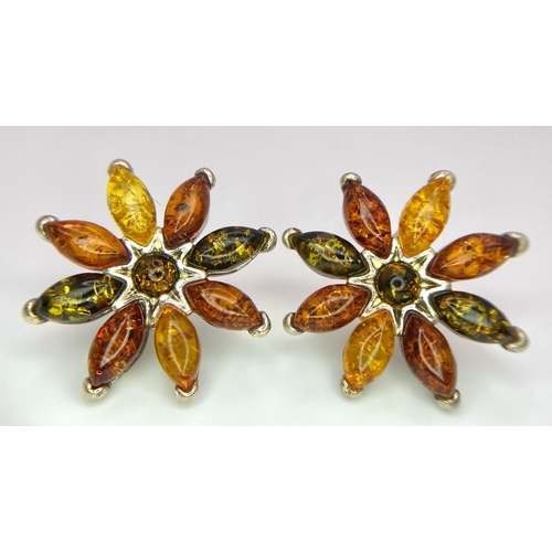 885 - A Pair of Excellent Condition, Vintage, Three Colour Amber Stud Silver Earrings. 2.4cm wide. In pres... 