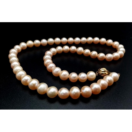 295 - A Cultured Pink Pearl Necklace with a 9K Yellow Gold Clasp. 
45cm length.