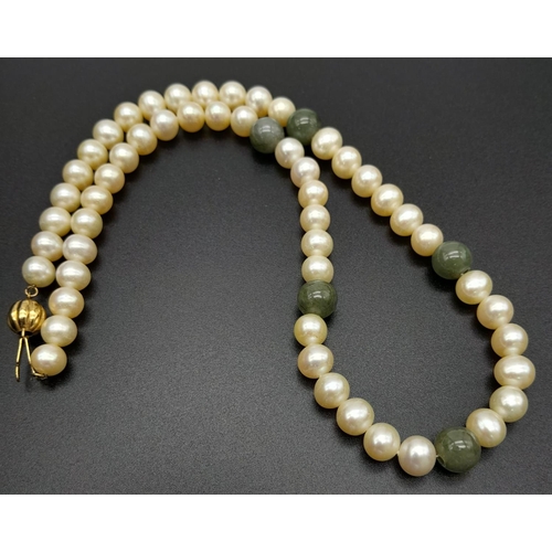 589 - A Cultured White Pearl and Jade Necklace with a 9K Yellow Gold Clasp. 46cm length.