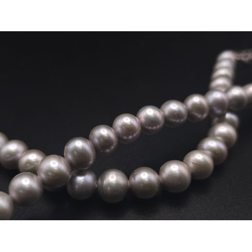 523 - A Metallic Grey Cultured Pearl Necklace with 925 Silver Clasp. 44cm