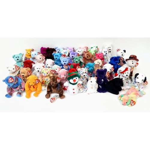 381 - A Collection of 47 TY Beanie Babies. All in good condition.