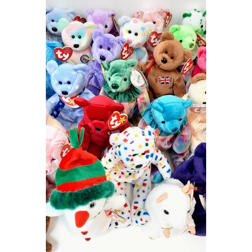 381 - A Collection of 47 TY Beanie Babies. All in good condition.