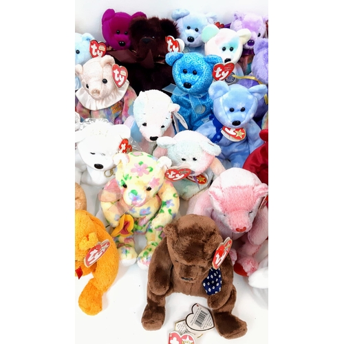 381 - A Collection of 47 TY Beanie Babies. All in good condition.