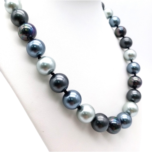 1424 - A Mysterious Metallic Shades of Grey and Silver South Sea Pearl Shell Necklace. 12mm beads. 42cm len... 