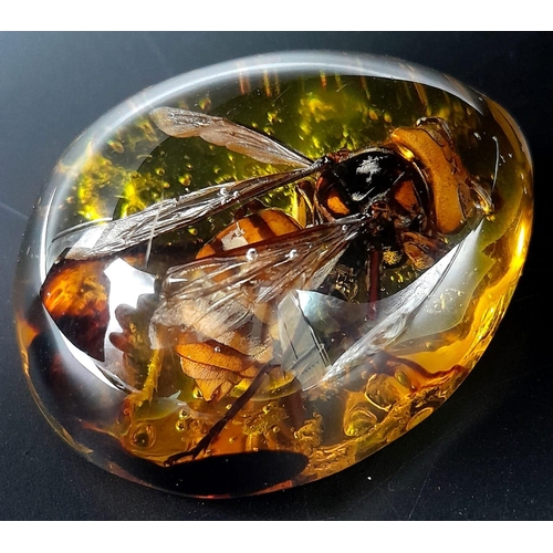 1463 - Imagine This Thing on Your Picnic Table! Or why not a pendant or paperweight instead. 6cm