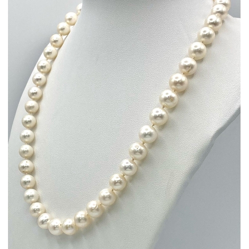 1437 - A Cultured White Pearl Necklace with a 9K Yellow Gold Clasp. 
42cm length.