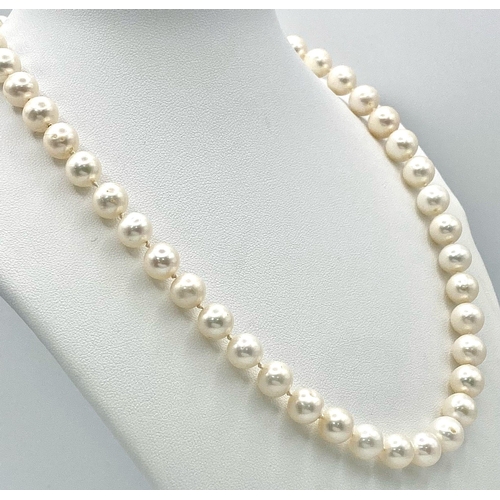 1437 - A Cultured White Pearl Necklace with a 9K Yellow Gold Clasp. 
42cm length.