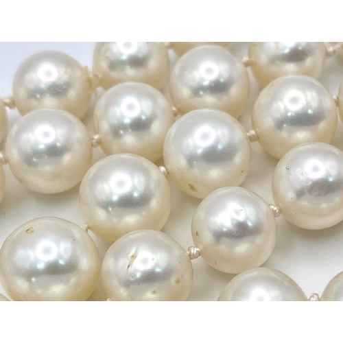 1437 - A Cultured White Pearl Necklace with a 9K Yellow Gold Clasp. 
42cm length.