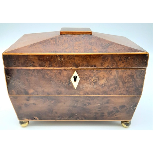 149 - A GEORGIAN WALNUT TEA CADDY WITH BRASS BALL FEET AND ORNATE RING HANDLES , TWIN TEA COMPARTMENTS .  ... 