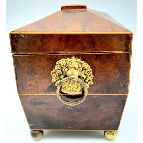 149 - A GEORGIAN WALNUT TEA CADDY WITH BRASS BALL FEET AND ORNATE RING HANDLES , TWIN TEA COMPARTMENTS .  ... 