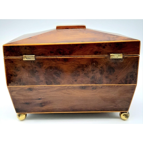 149 - A GEORGIAN WALNUT TEA CADDY WITH BRASS BALL FEET AND ORNATE RING HANDLES , TWIN TEA COMPARTMENTS .  ... 