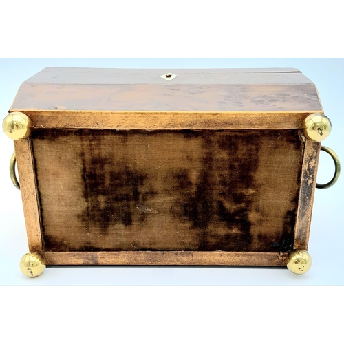 149 - A GEORGIAN WALNUT TEA CADDY WITH BRASS BALL FEET AND ORNATE RING HANDLES , TWIN TEA COMPARTMENTS .  ... 