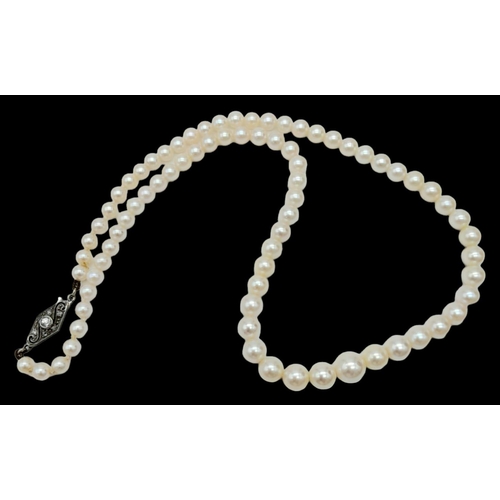 212 - A 44cms GRADUATED STRING OF PEARLS WITH PLATINUM AND DIAMOND CLASP IN ORIGINAL BOX FROM THE FAMOUS 