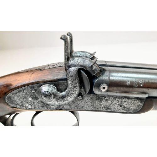 1675 - A Deactivated Vintage Charles Adams Double Barrel Shotgun. 12 gauge - double hammer. EU deactivation... 