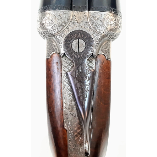 1689 - A Deactivated 16 Gauge Kettner Side by Side Shotgun. Cologne model. Double triggers. Clean barrels a... 