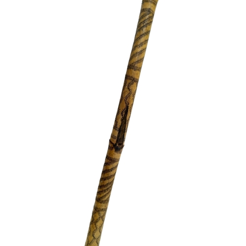 957 - A Very Rare, Antique Oriental Carved Bamboo Walking Stick. Very Good Condition. 97cm Length.