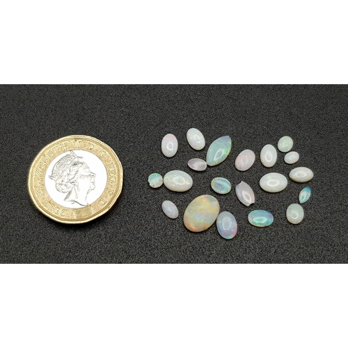 1115 - A Parcel of 20 Opals. Assorted Sizes up to 1cm, Oval Cuts, 6.25 Carats.