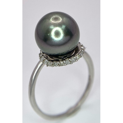 1692 - A TAHITIAN PEARL AND DIAMOND RING SET IN 9K WHITE GOLD .   5.2gms   size S