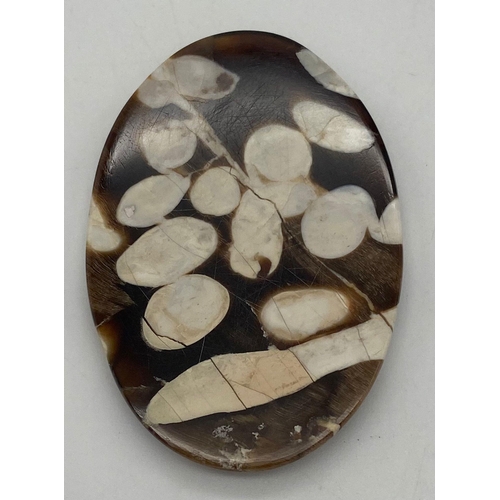 322 - A palaeontological gem, a large (62 carats), unusual, petrified driftwood, often called PEANUT WOOD,... 