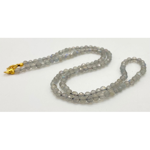 1298 - 51,17 ct labradorite Beaded Necklace set with gilded Silver clasp, 50cm long approx