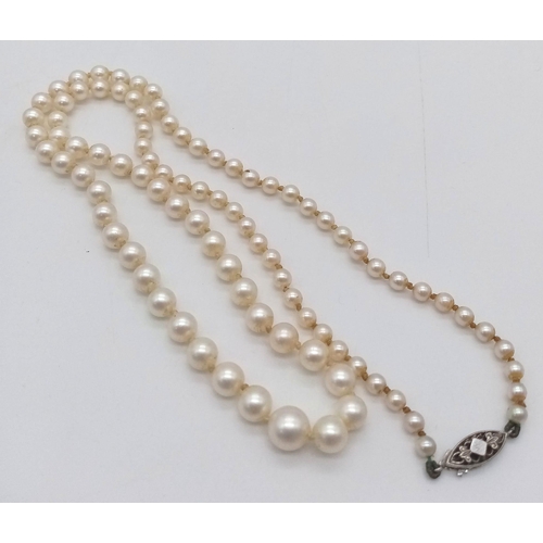 687 - An Antique Graduated White Pearl Necklace with 9K White Gold Clasp. 50cm.