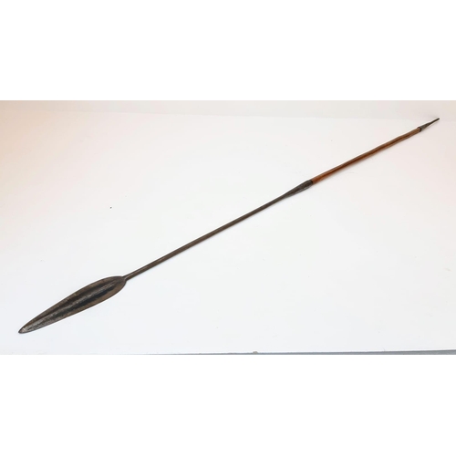 634 - An Antique 19th Century Zulu Isijula/Umkhonto Throwing Spear. Very Good Condition 170cm Length