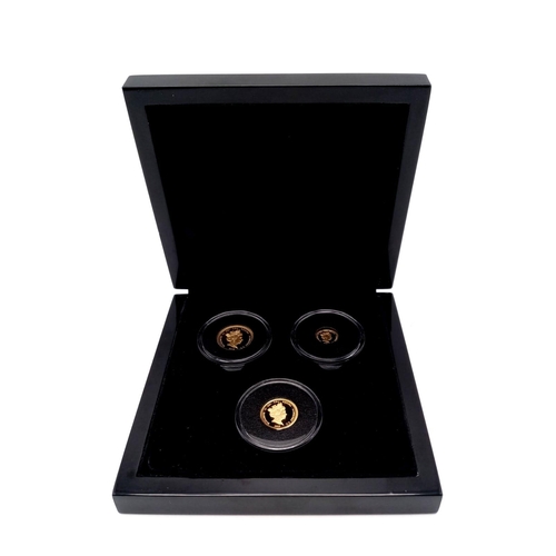 80 - A Limited Edition Dambusters Fine Gold (.999) Three Sovereign Proof Set - Full, half and quarter sov... 