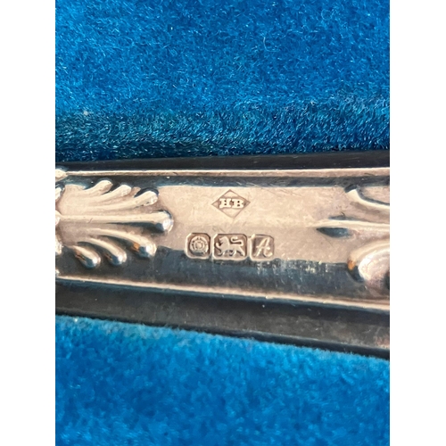 832 - Vintage SILVER HANDLED CAKE SLICE. Kings pattern. Hallmark for Harrison Bros, Sheffield 1975.