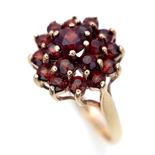 642 - A 9K YELLOW GOLD GARNET CLUSTER RING 2.3G SIZE M

SC 4013