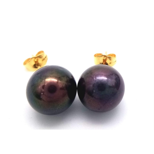 221 - A 14K yellow gold pair of stud earrings with a single, perfectly spherical, black Tahitian pearl 11 ... 