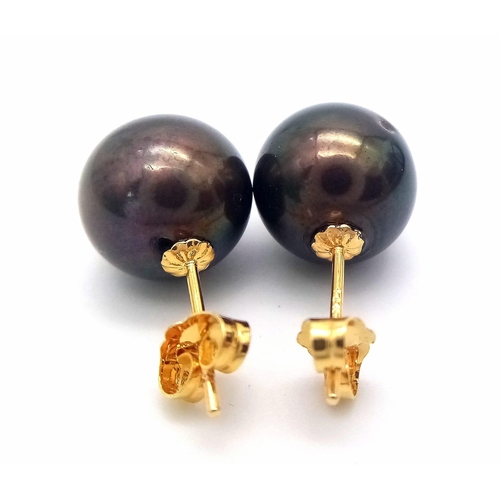 221 - A 14K yellow gold pair of stud earrings with a single, perfectly spherical, black Tahitian pearl 11 ... 