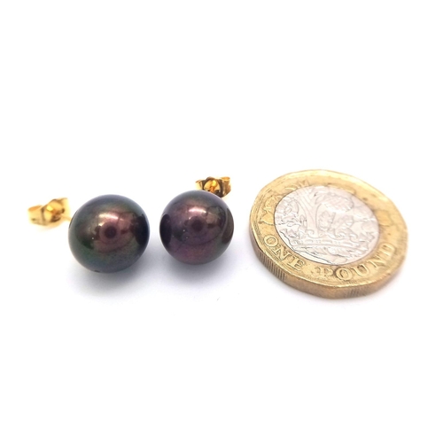 221 - A 14K yellow gold pair of stud earrings with a single, perfectly spherical, black Tahitian pearl 11 ... 