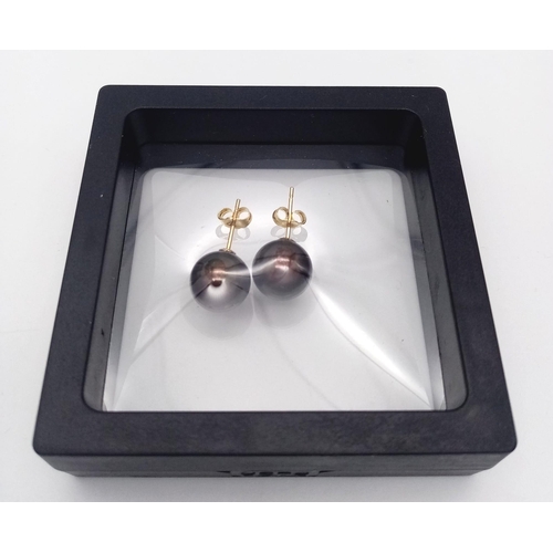 221 - A 14K yellow gold pair of stud earrings with a single, perfectly spherical, black Tahitian pearl 11 ... 